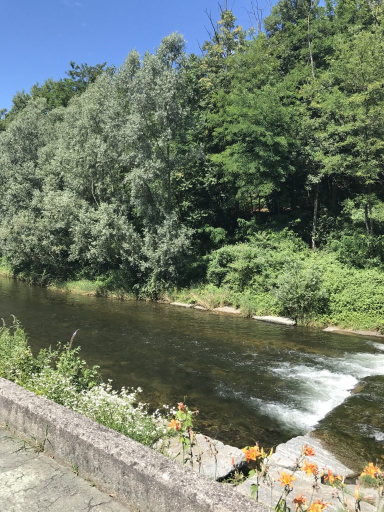 ciclabile-luino-valcuvia-fiume.jpg