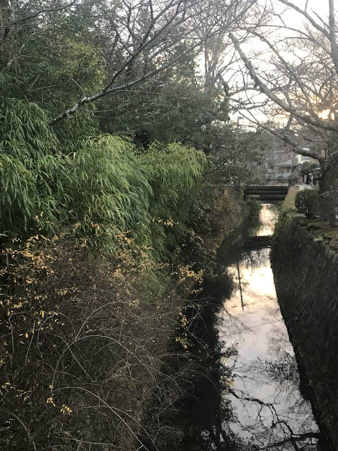 Kyoto in Inverno