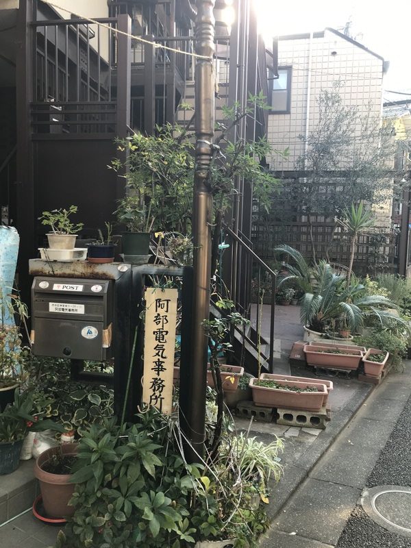 cat street tokyo