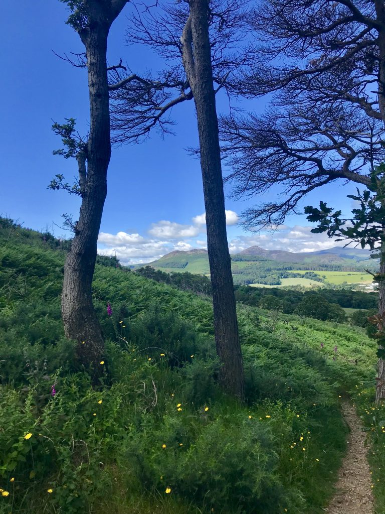 montagne contea di wicklow